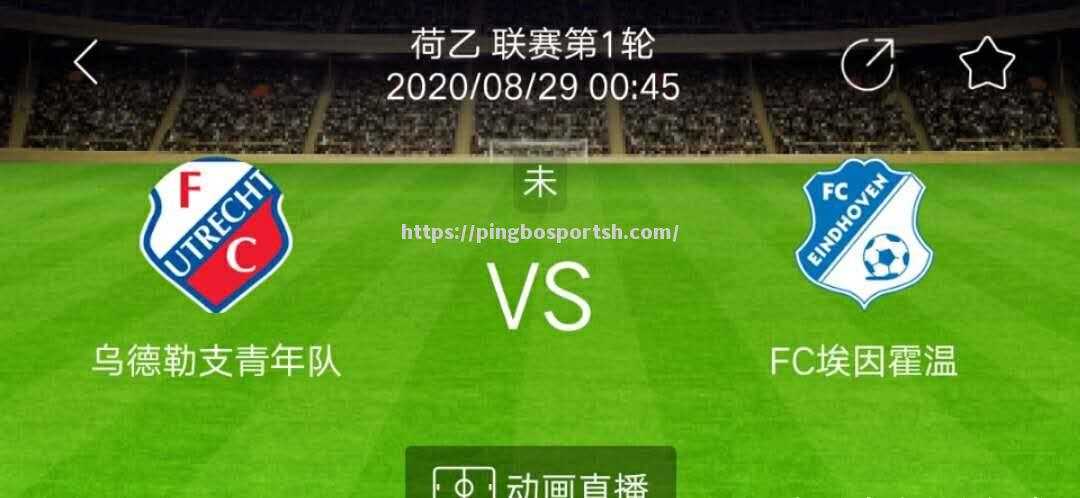 里昂经理扬言将重振球队雄风